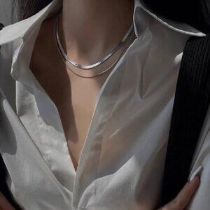Double Layered Herringbone Silver Necklace
